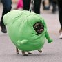 IMG_20250423_073048
