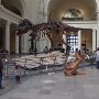 IMG_20250424_071843