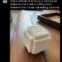 IMG_20250424_071907