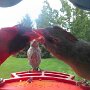 IMG_20250426_073713