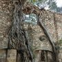 IMG_20250427_092323