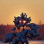 IMG_20250427_092543