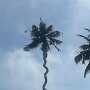 IMG_20250427_092609