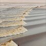 IMG_20250427_092708