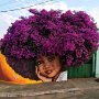 IMG_20250428_064636