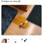 IMG_20250429_072752