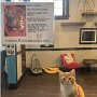 IMG_20250520_072716
