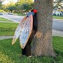 IMG_20250628_081425