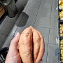 IMG_20250705_090859