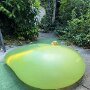 IMG_20250710_070944