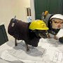 IMG_20250713_083907