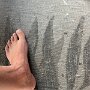 IMG_20250714_071235