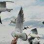 IMG_20250714_071532