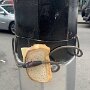 IMG_20250715_064656