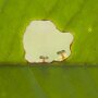 IMG_20250715_065139