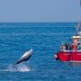 IMG_20250716_070503