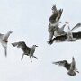 IMG_20250716_070522