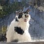 IMG_20250717_073503