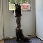 IMG_20250718_083108