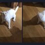 IMG_20250718_083324