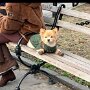 IMG_20250718_083400