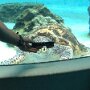 IMG_20250718_083738