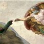 IMG_20250719_065524