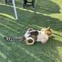 IMG_20250720_065213