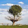 IMG_20250720_065317