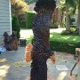 IMG_20250721_073747