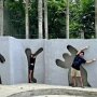 IMG_20250721_073831