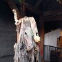 IMG_20250723_065900