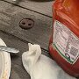 IMG_20250724_064955