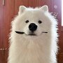 IMG_20250724_065022