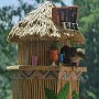IMG_20250724_065221