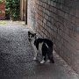 IMG_20250726_082153