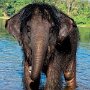 IMG_20250726_082404