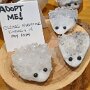 IMG_20250727_091441