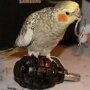 IMG_20250728_063459