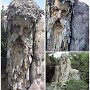 IMG_20250728_063742