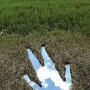 IMG_20250728_063803