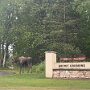 IMG_20250729_065644