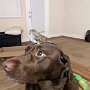 IMG_20250729_070054