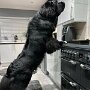 IMG_20250730_065502