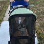 IMG_20250731_065447