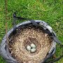 IMG_20250831_065050