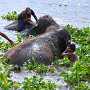 IMG_20250908_090340