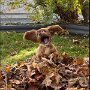 IMG_20250925_064812
