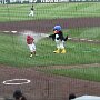 IMG_20250926_071648