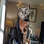 IMG_20250927_081103